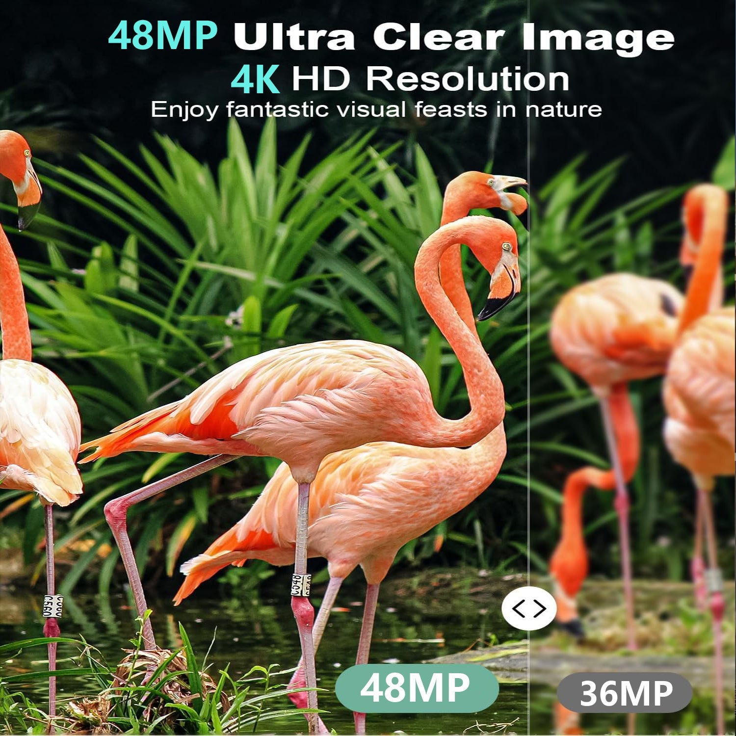 WildGuard Pro Trail Camera
