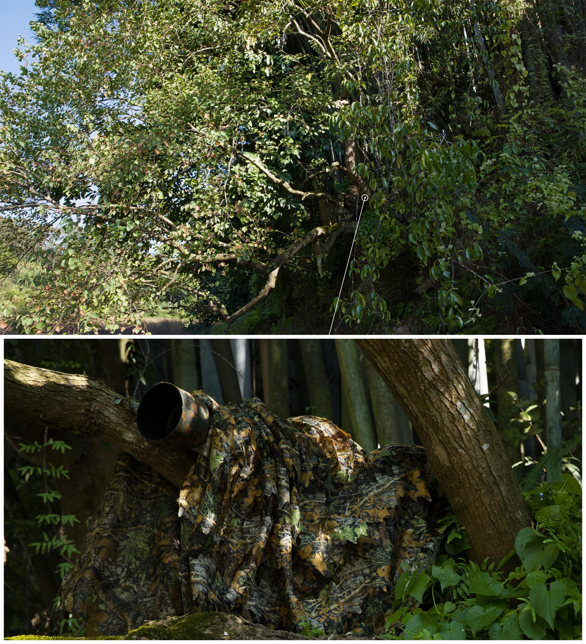 3D Maple Leaf Camouflage Suit