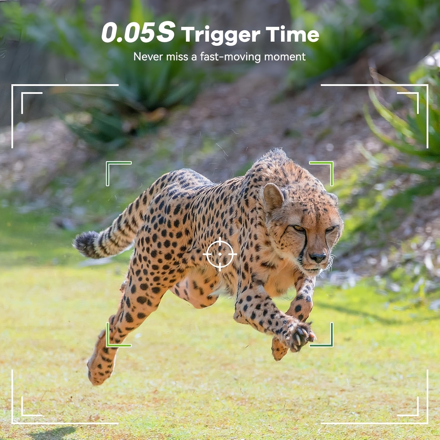 WildGuard Pro Trail Camera