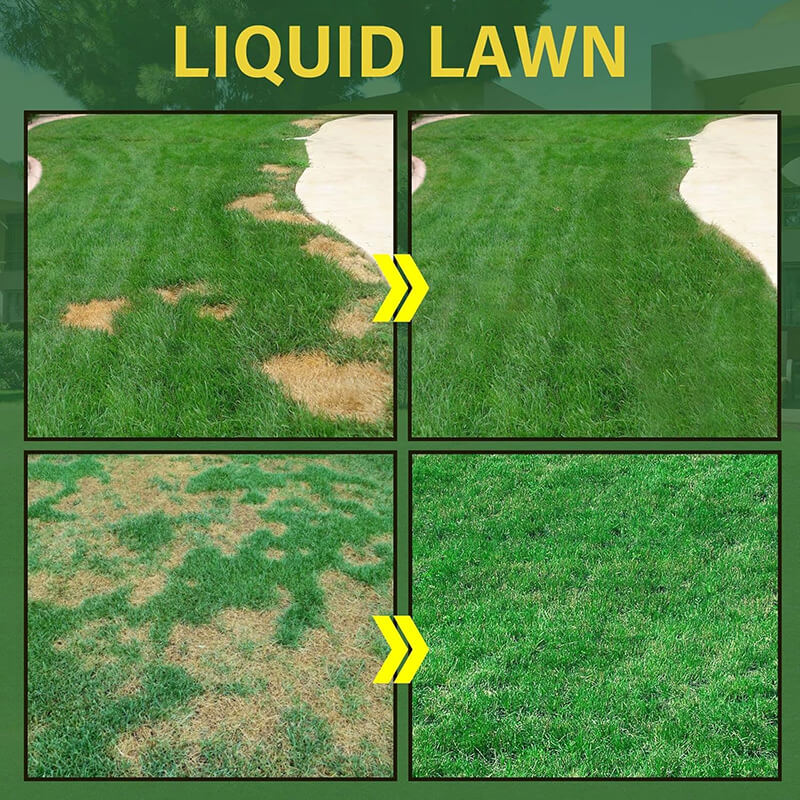 Liquid Seeding Grass Lawn Green Spray System