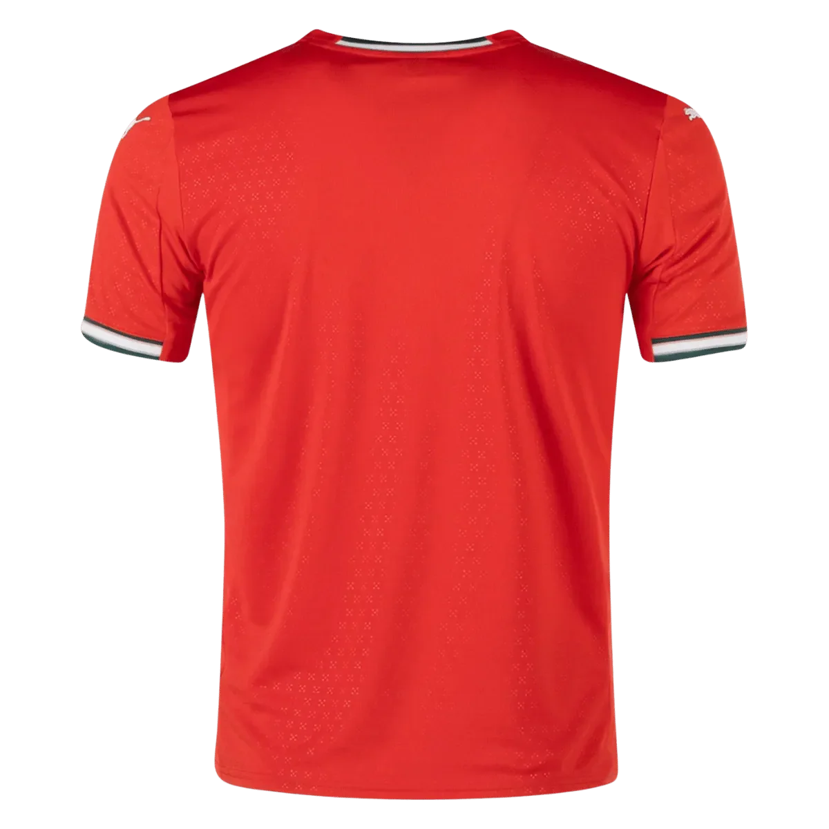 25/26 Portugal Home Jersey