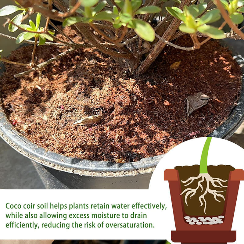 Premium Organic Coconut Coir Bricks