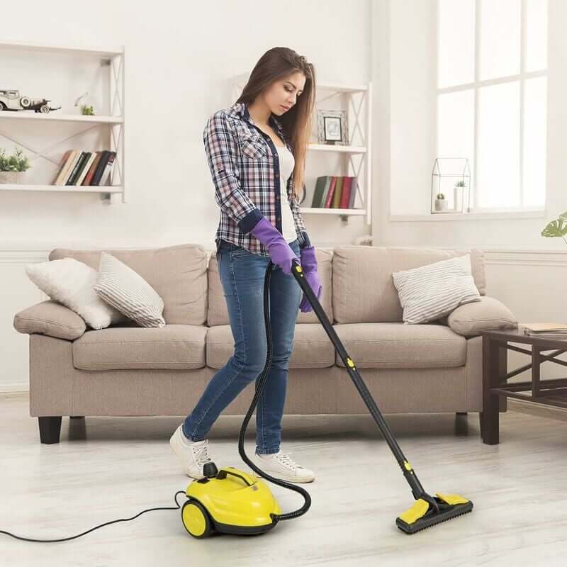 Multi-purpose Steam Cleaner